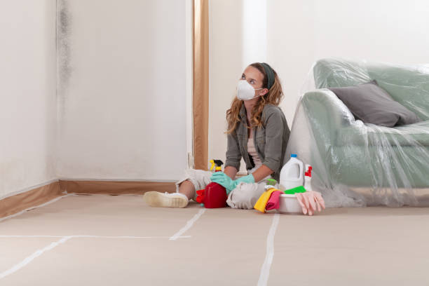 Reliable Commercial Mold Remediation contractor in Modena, PA by WQB Mold Removal